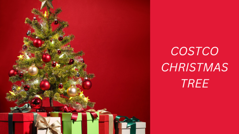 Best Costco Christmas Trees